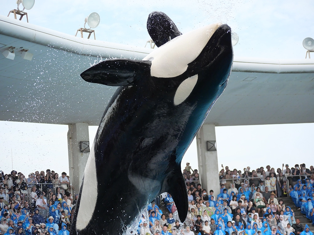 トミオの働き方オウンドメディア